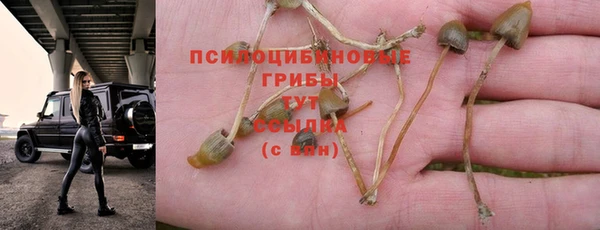 COCAINE Алзамай