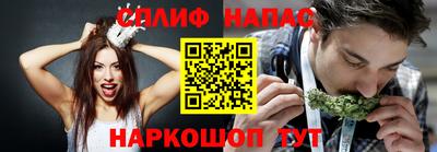 трава Новокубанск