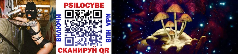 Псилоцибиновые грибы Cubensis  Углич 
