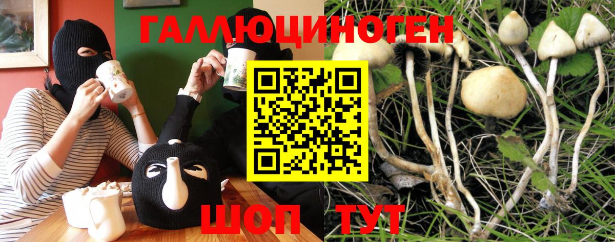 Псилоцибиновые грибы мицелий Углич